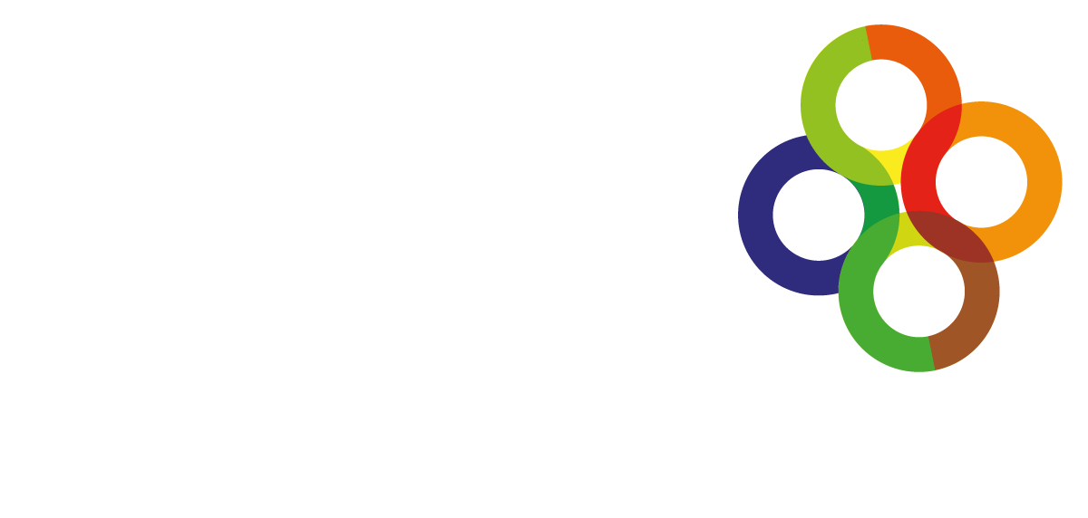 Cátedra Cultura Directiva y Empresarial UPV